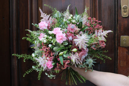 Mayfair *Pinks